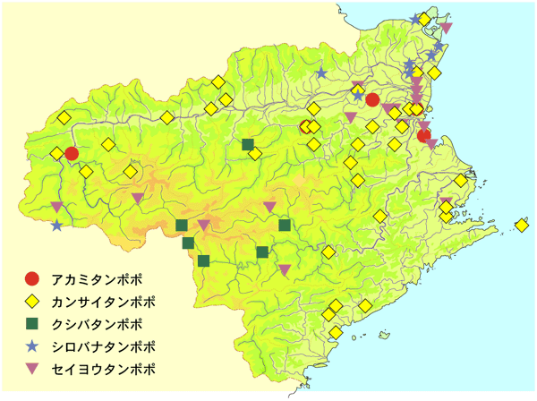 図１．徳島県立博物館の収蔵標本から調べた徳島県のタンポポの分布
